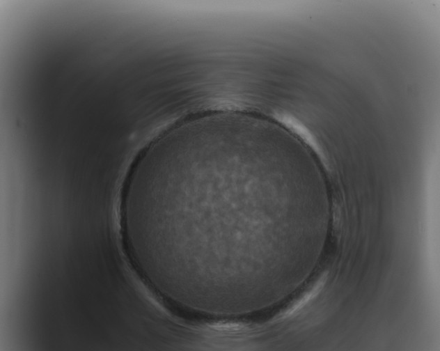 X0000089690581200706281417