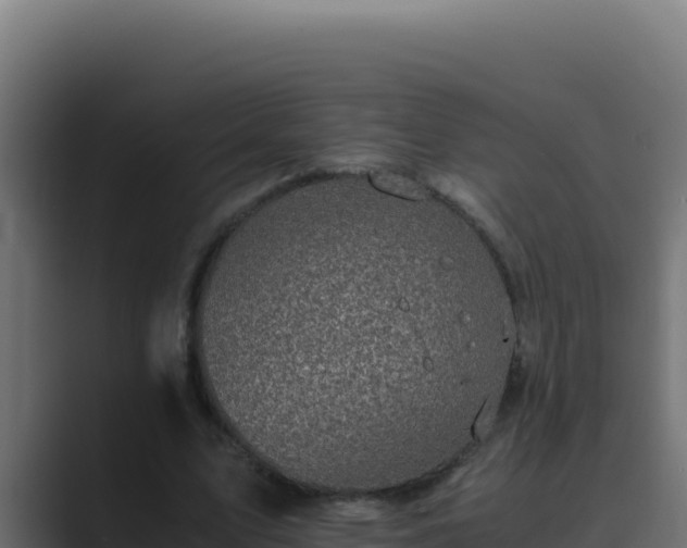 X0000089690583200706281417