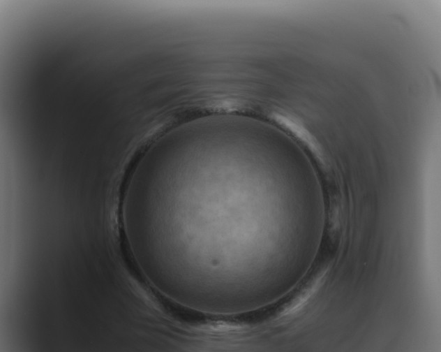 X0000089690585200706281417