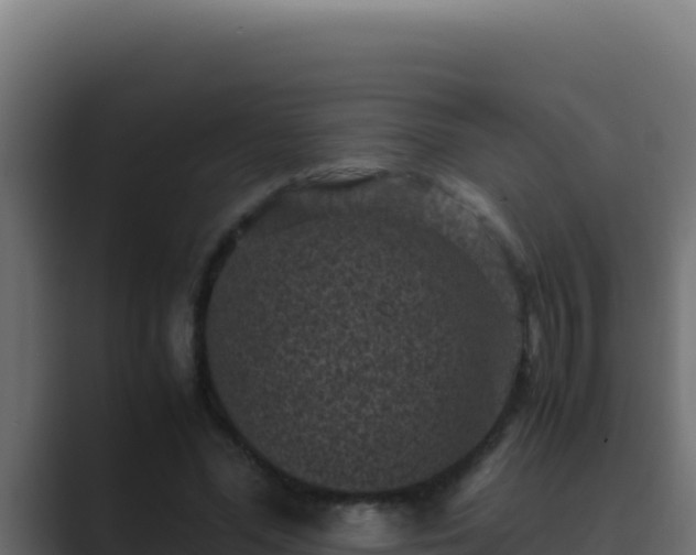 X0000089690588200706281417