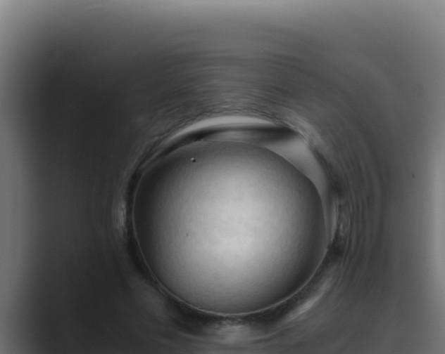 X0000089690589200706281417