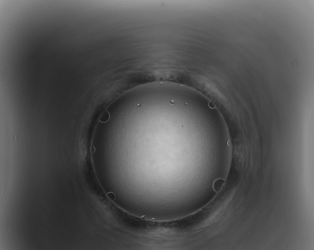 X0000089690593200706281417