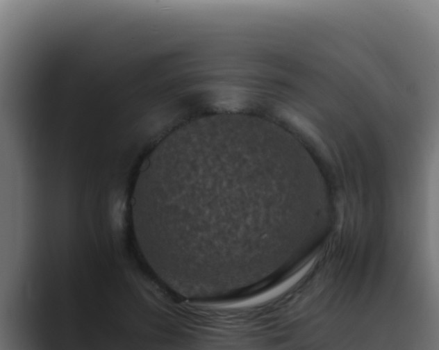 X0000089690596200706281417