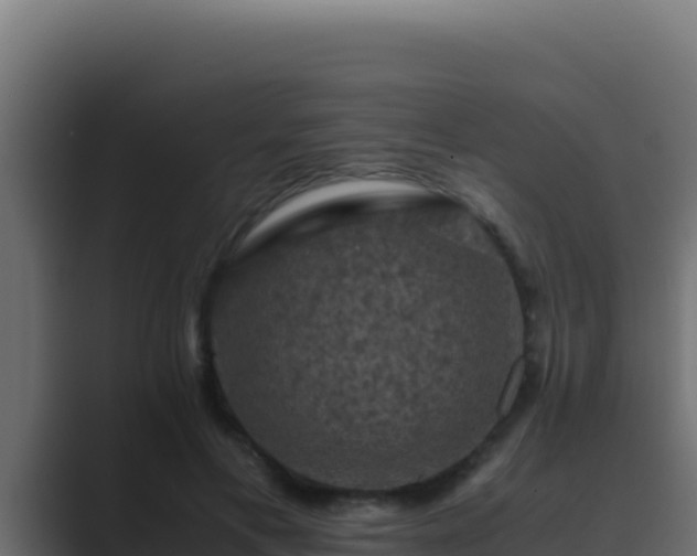 X0000089690597200706281417