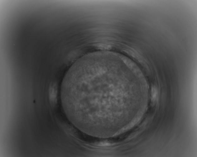 X0000089690600200706281417