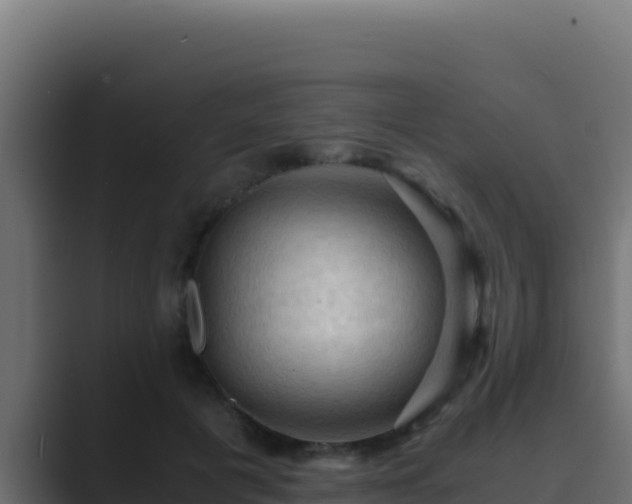 X0000089690601200706281417