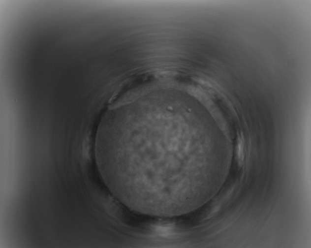 X0000089690604200706281417