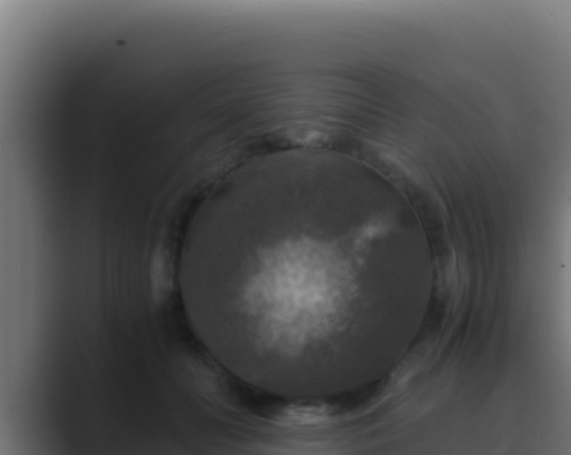 X0000089690606200706281417