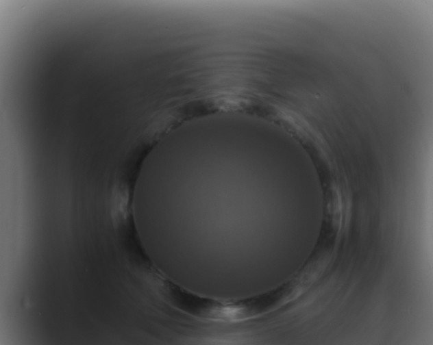 X0000089690610200706281417