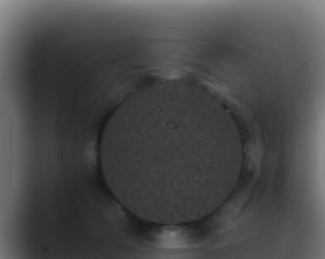 X0000089690612200706281417