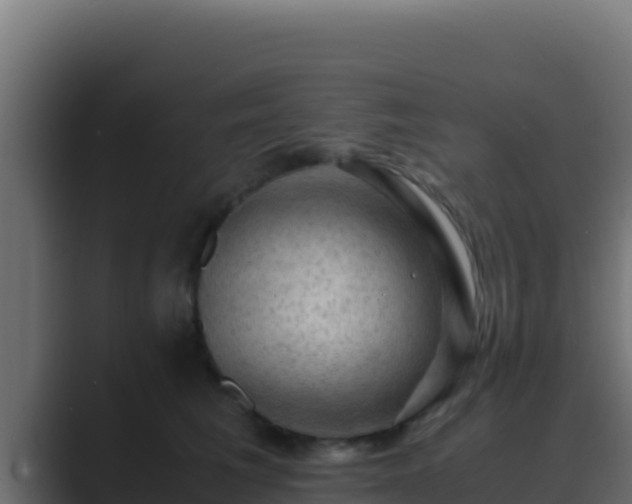 X0000089690613200706281417