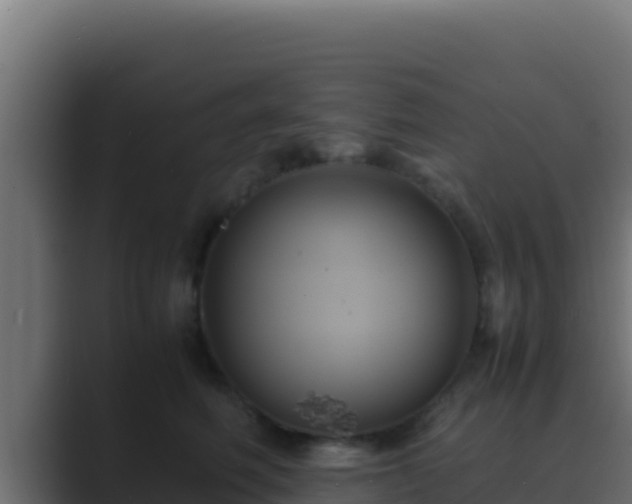 X0000089690614200706281417