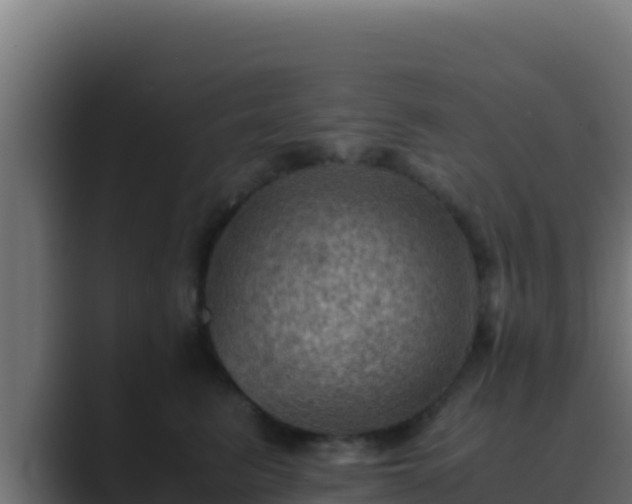 X0000089690615200706281417