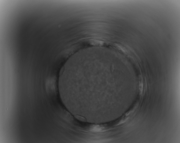 X0000089690616200706281417