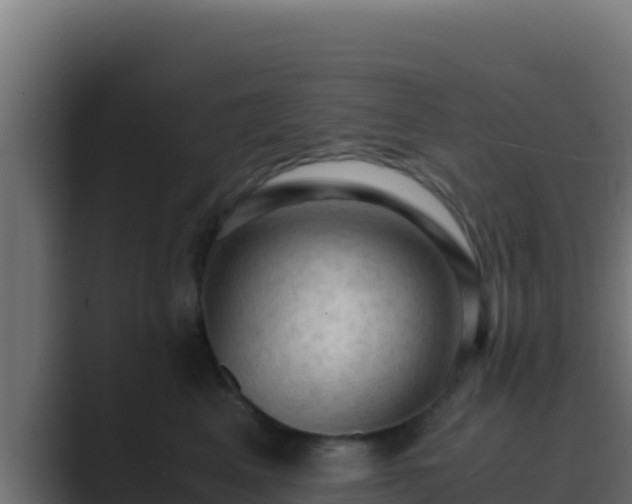 X0000089690617200706281417