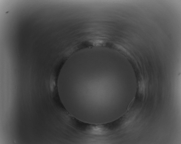 X0000089690618200706281417