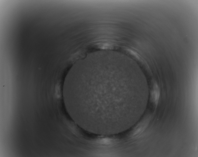 X0000089690620200706281417