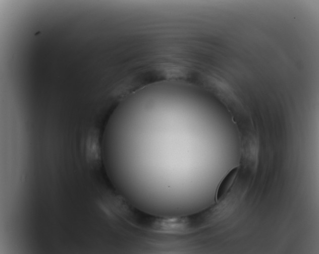 X0000089690622200706281417