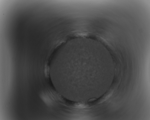 X0000089690624200706281417