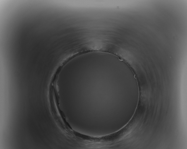 X0000089690626200706281416