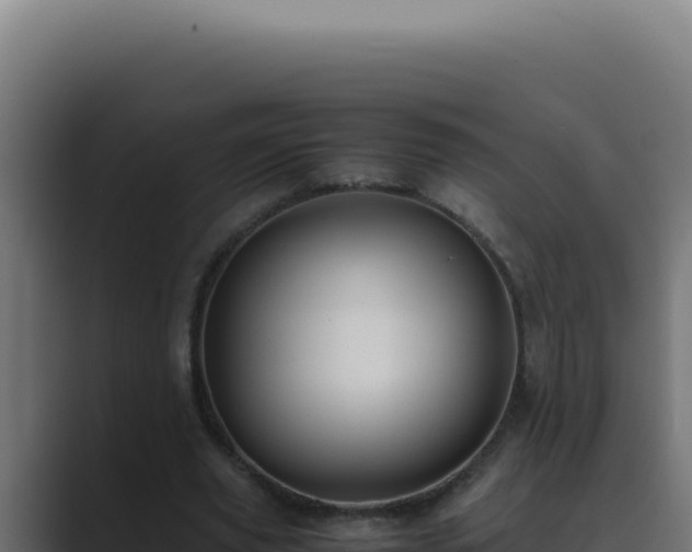 X0000089690629200706281416