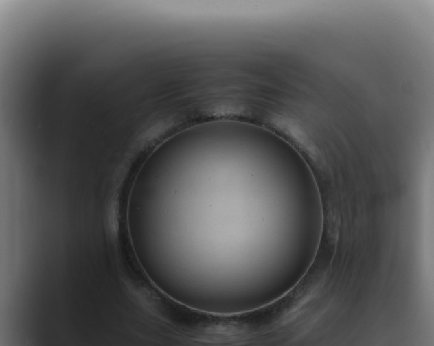 X0000089690631200706281416