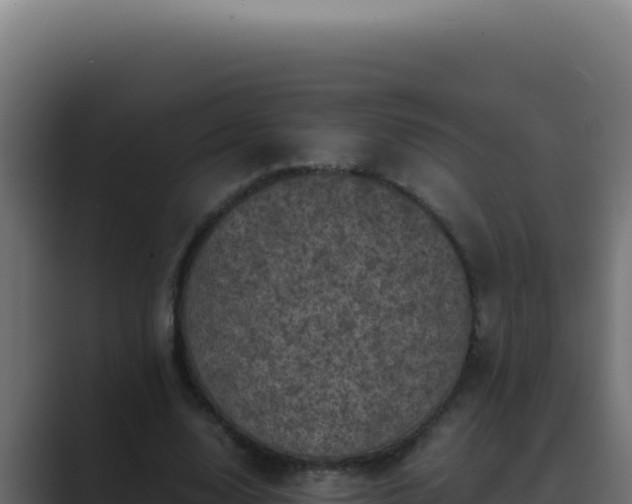 X0000089690632200706281416