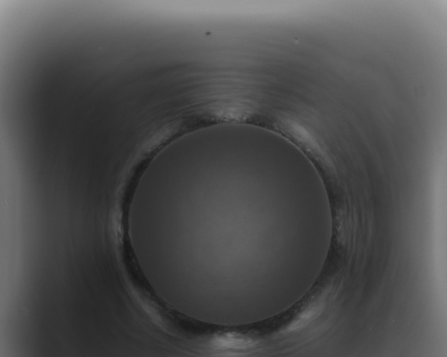 X0000089690634200706281416