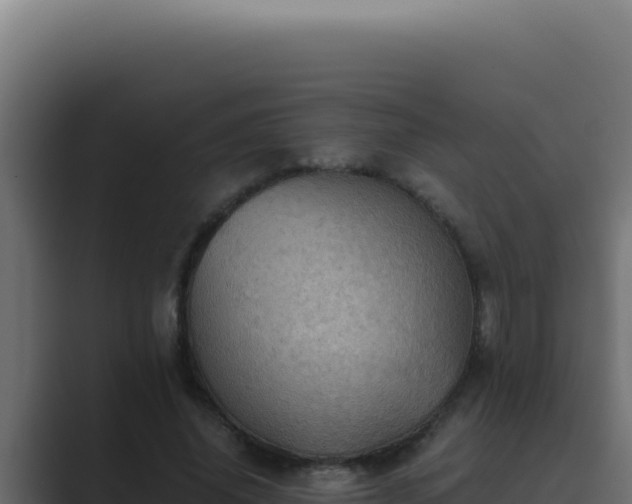 X0000089690636200706281416