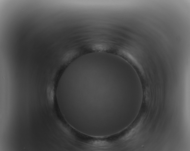 X0000089690637200706281416