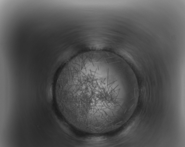 X0000089690638200706281416