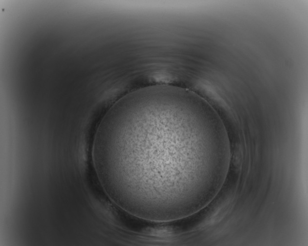 X0000089690639200706281416