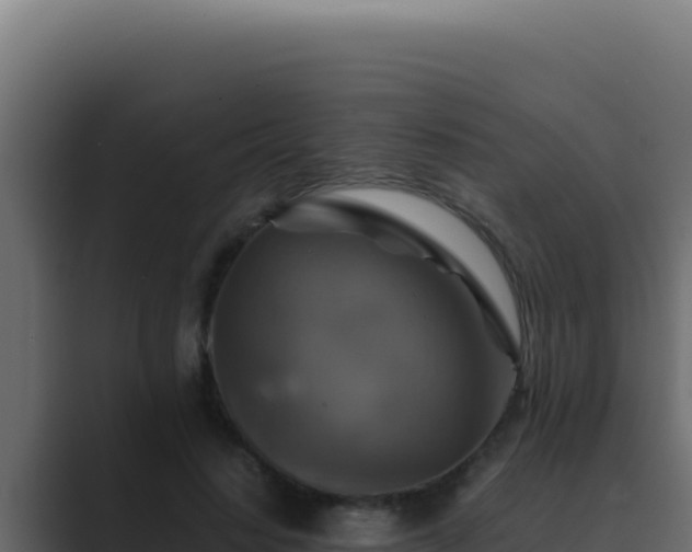 X0000089690644200706281416