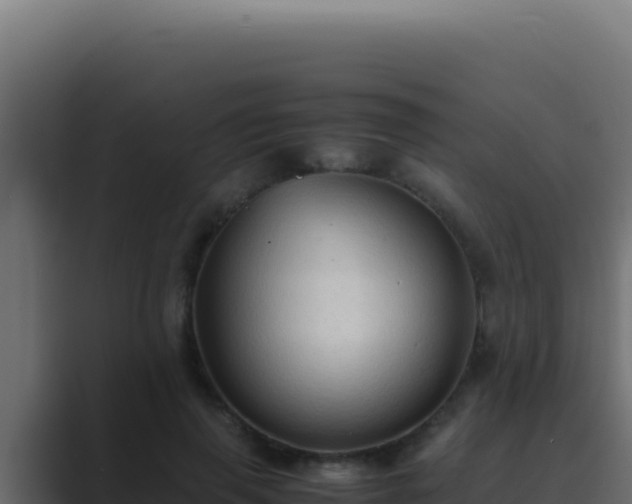 X0000089690645200706281416