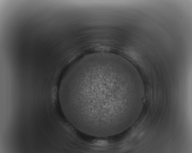 X0000089690649200706281416