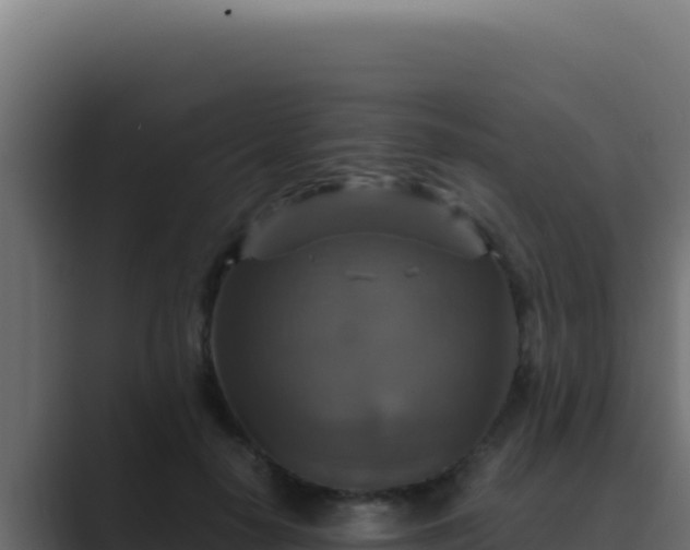 X0000089690650200706281416