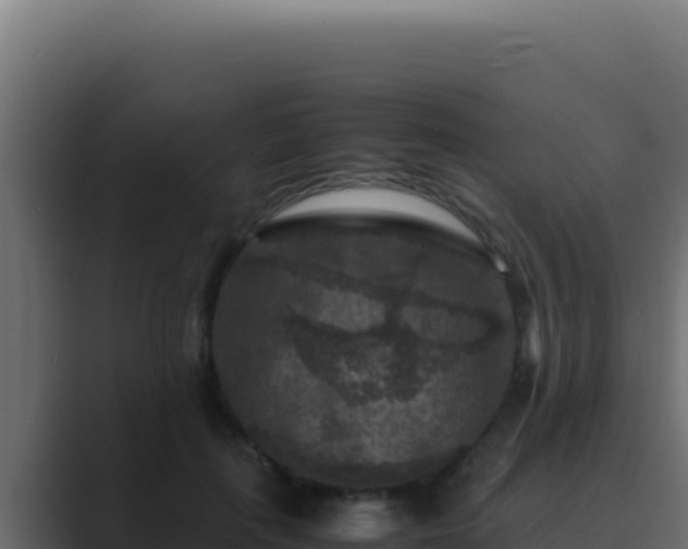 X0000089690651200706281416