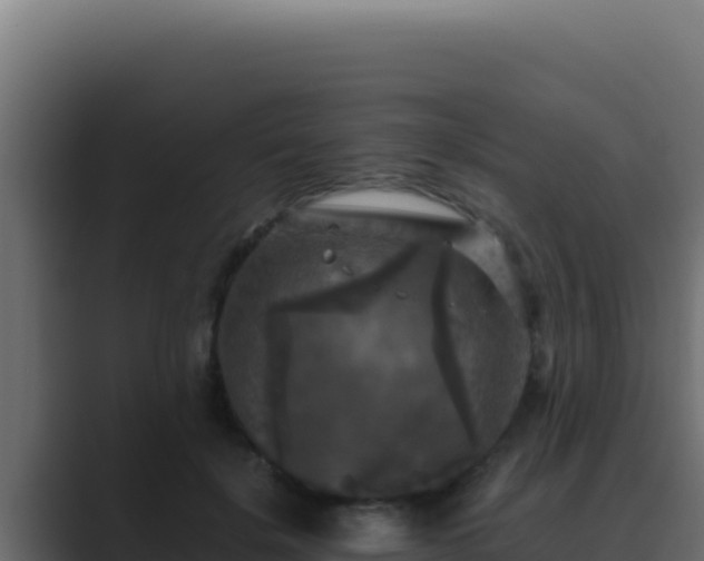 X0000089690652200706281416