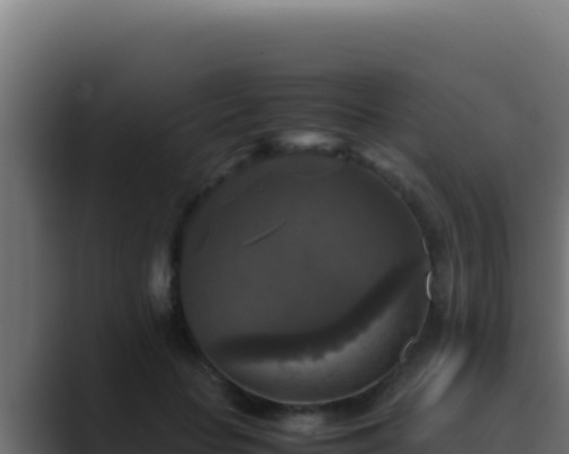 X0000089690653200706281416