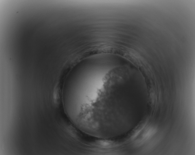 X0000089690654200706281416