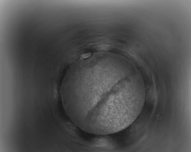 X0000089690655200706281416