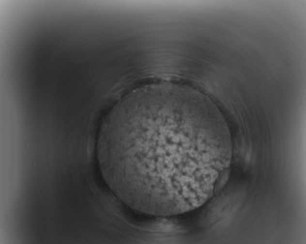 X0000089690656200706281416