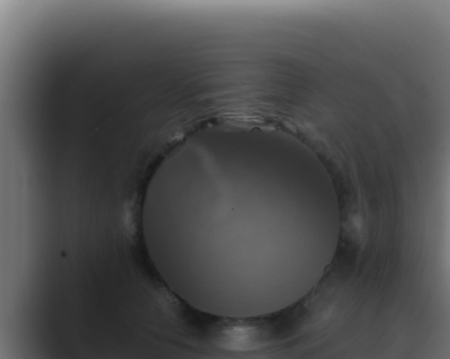 X0000089690658200706281416