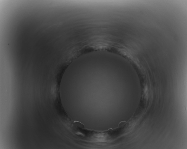 X0000089690659200706281416