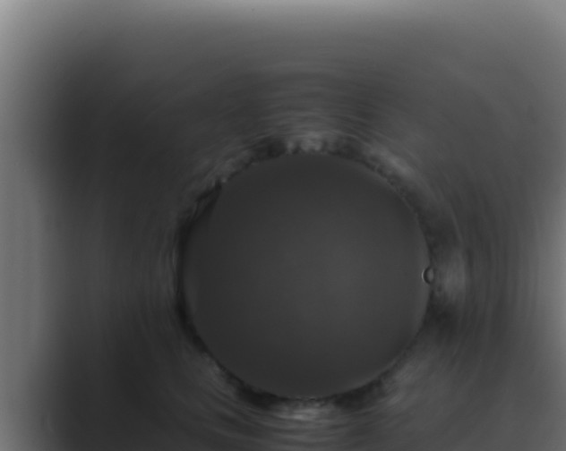 X0000089690661200706281416