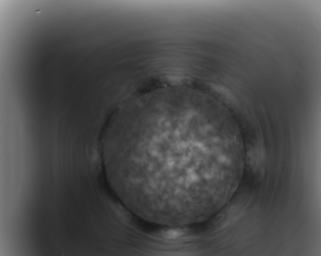 X0000089690662200706281416