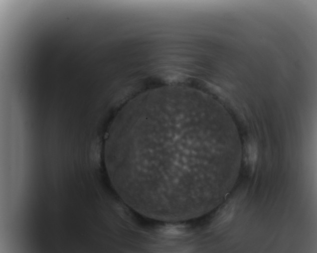 X0000089690664200706281417