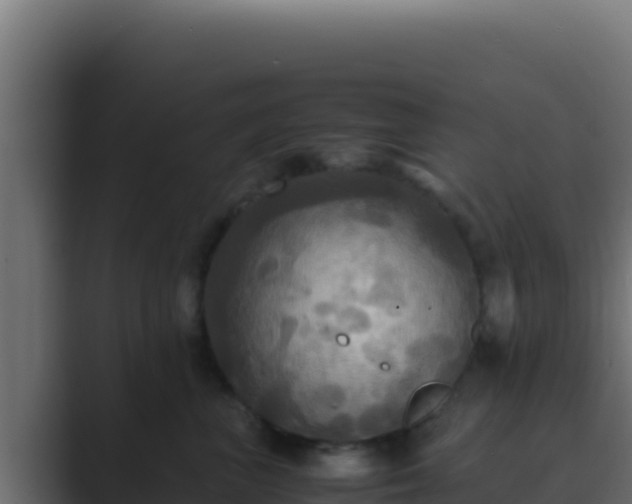 X0000089690667200706281417