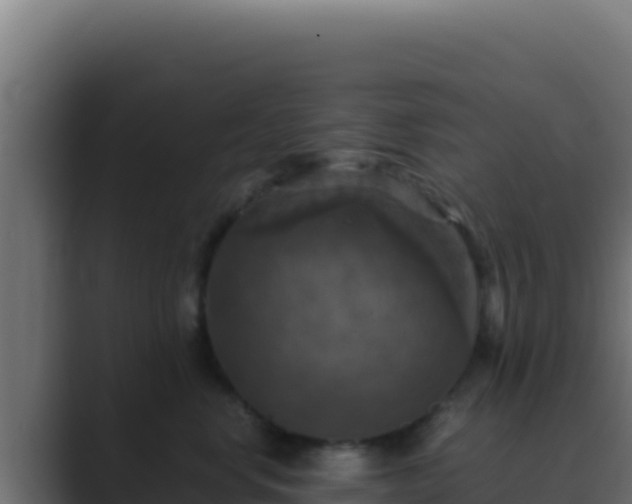 X0000089690668200706281417