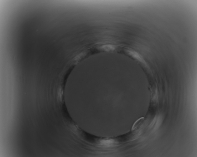 X0000089690669200706281417